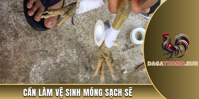 Cần làm vệ sinh móng sạch sẽ