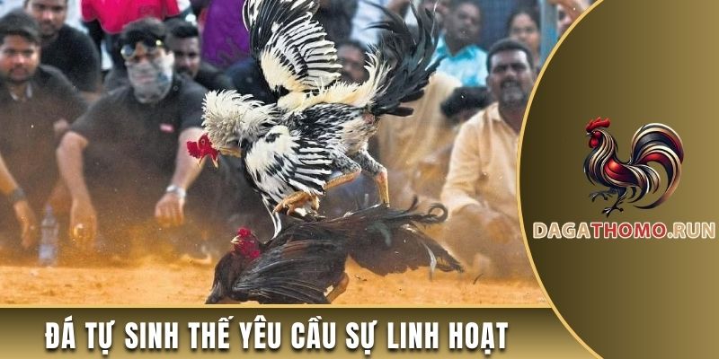 Đá tự sinh thế yêu cầu sự linh hoạt