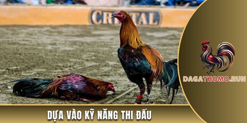 Dựa vào kỹ năng thi đấu