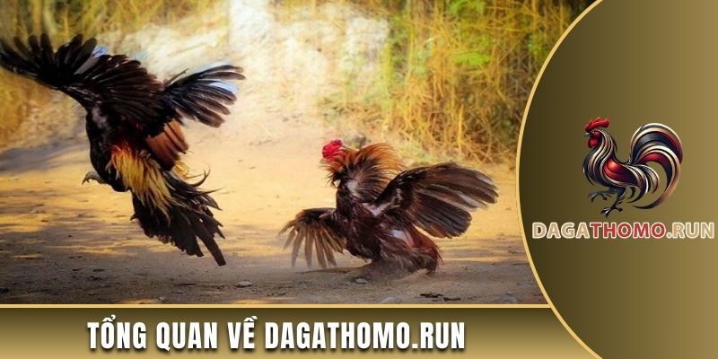 Giới thiệu tổng quan về nền tảng uy tín