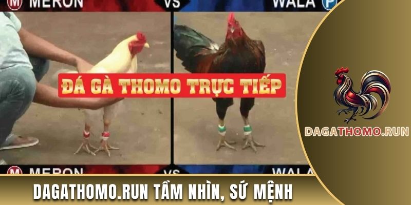 Giới thiệu về dagathomo run tầm nhìn, sứ mệnh