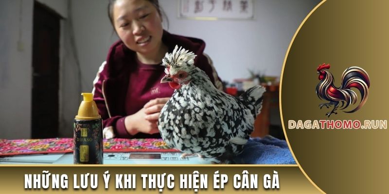 Những lưu ý khi thực hiện ép cân gà