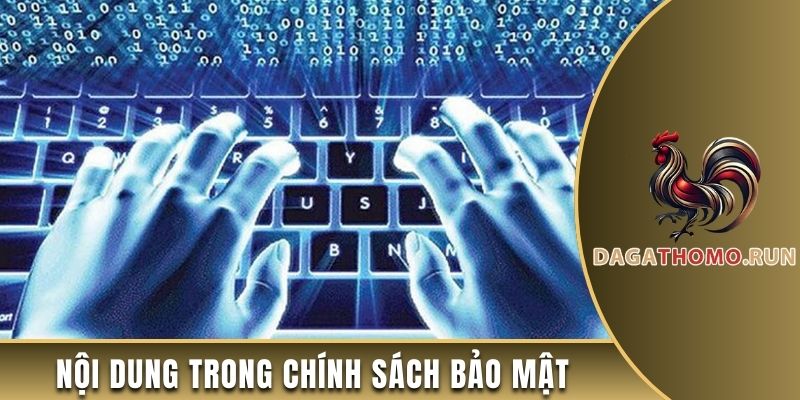 Nội dung đề cập trong chính sách bảo mật của trang web