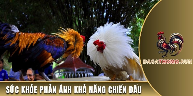 Sức khỏe phản ánh khả năng chiến đấu