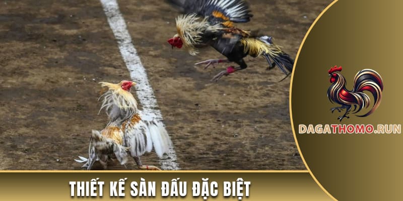 Thiết kế sàn đấu đặc biệt