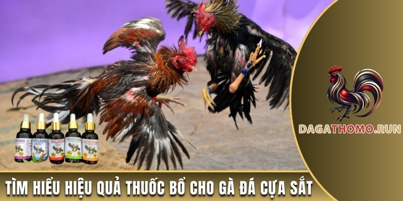 Tìm hiểu hiệu quả thuốc bổ cho gà đá cựa sắt
