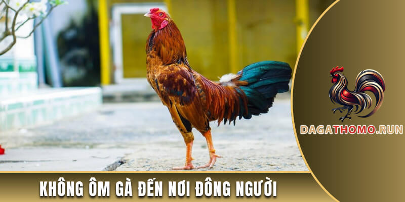 Tuyệt đối không ôm chiến kê đến nơi đông người